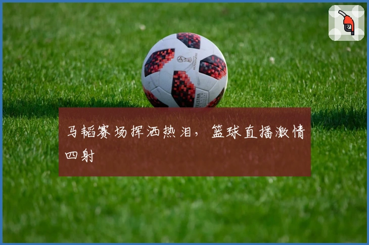 马韬赛场挥洒热泪，篮球直播激情四射