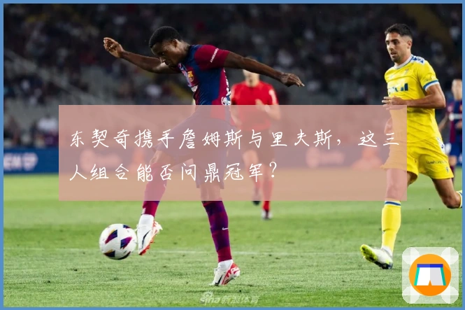 东契奇携手詹姆斯与里夫斯，这三人组合能否问鼎冠军？