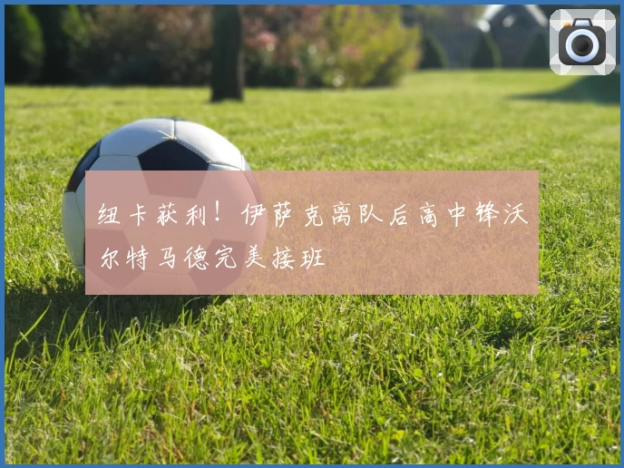 纽卡获利!伊萨克离队后高中锋沃尔特马德完美接班